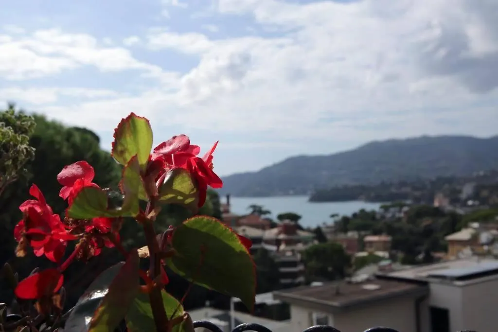 Casa Del Sole - The House Of The Sun Apartment Rapallo Italy